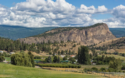 Exploring Bottleneck Drive: A Must-Do Wine Experience in Summerland