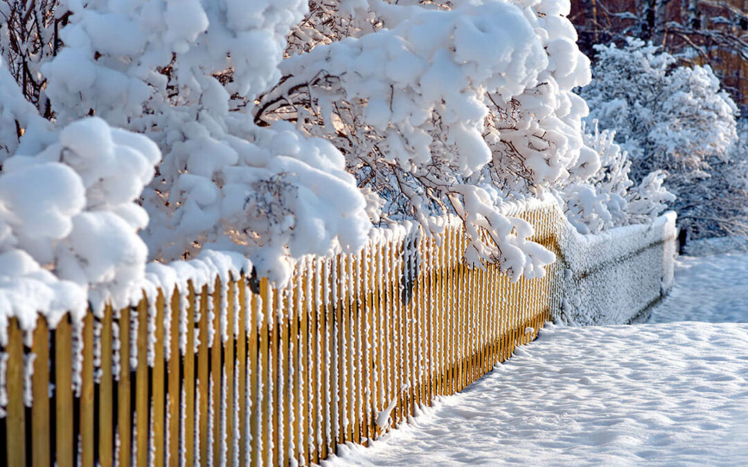 Wooden fence in winter